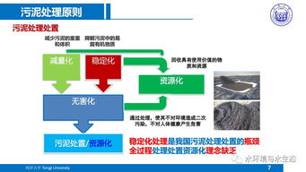 城市污水廠污泥處置工藝技術(shù)路線研究與軟件技術(shù)開發(fā) — 以同濟(jì)戴曉虎團(tuán)隊成果為例